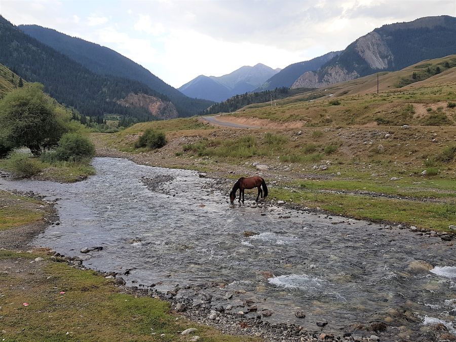 Photo du récit Entre deux mondes