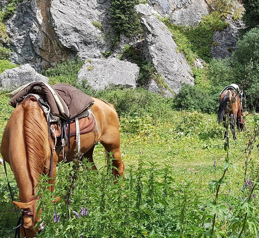 Photo du récit Entre deux mondes
