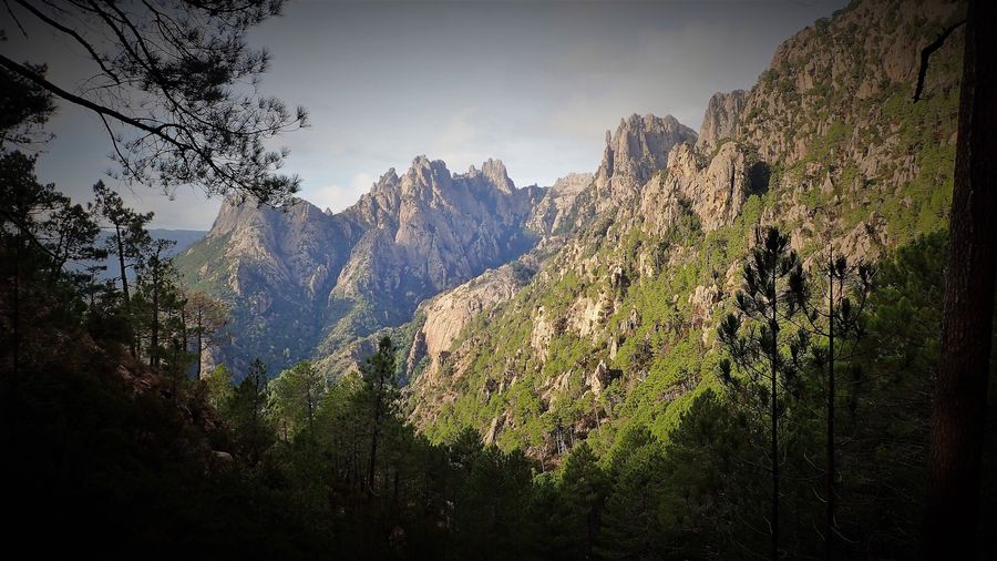 Photo du récit Une montagne dans la mer