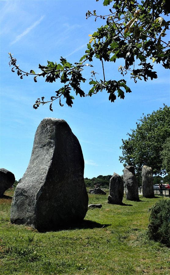 Photo du récit Le plus beau pays au monde