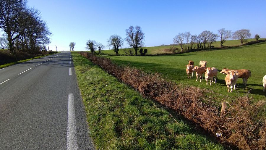 Photo du récit Le plus beau pays au monde