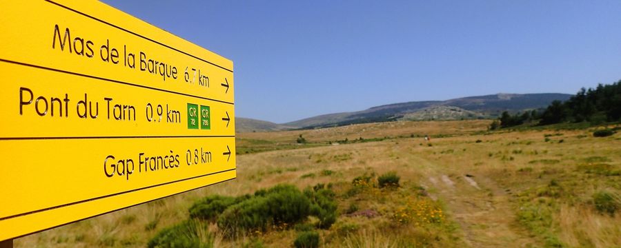 Le bâton et les carottes