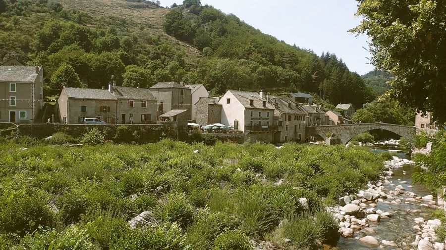 Photo du récit Le bâton et les carottes