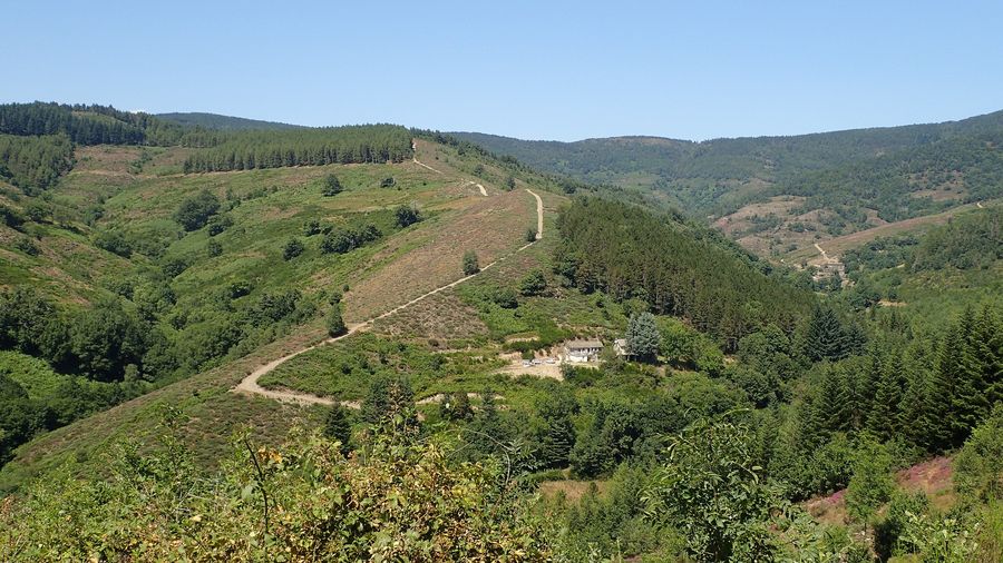 Photo du récit Le bâton et les carottes