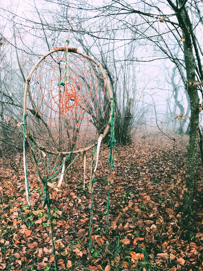 Photo du récit Le pays par delà la forêt