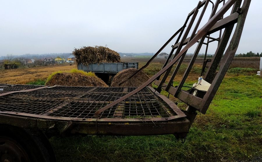 Photo du récit Le pays par delà la forêt