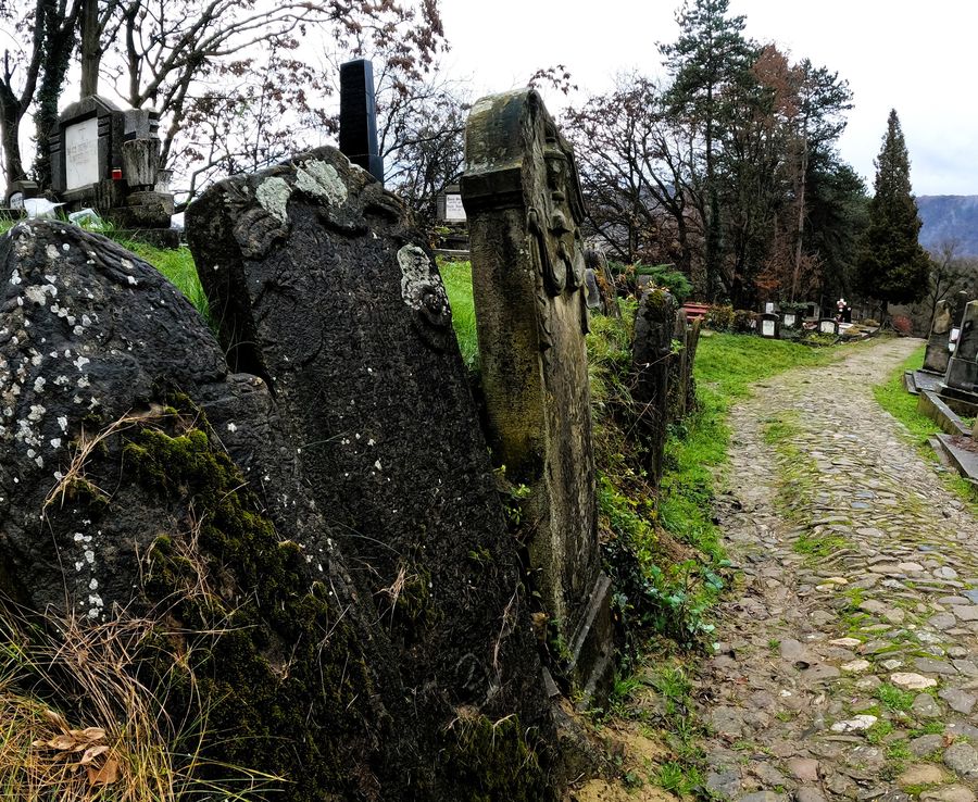 Photo du récit Le pays par delà la forêt