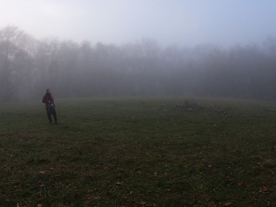 Photo du récit Le pays par delà la forêt